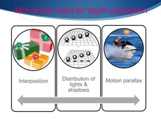 Monocular clues for depth perception
Interposition Distribution of
lights &
shadows
Motion parallax
 
