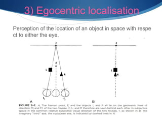 3) Egocentric localisation
Perception of the location of an object in space with respe
ct to either the eye.
 