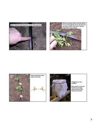 •Plants should go where the drip will be
Notice that the drip should be on top of the drip line     •Try to avoid getting soil on the drip line
                                                           •Can place mulch over line to reduce
                                                           evaporation loss of water




                                   Plants should be down
                                   slope of the drip



                                                                           Clogging can be a
                                                                           problem.

                                                                           May need to cover the
                                                                           bucket top to keep
                                                                           dust and sand from
                                                                           blowing to bucket




                                                                                                         5
 