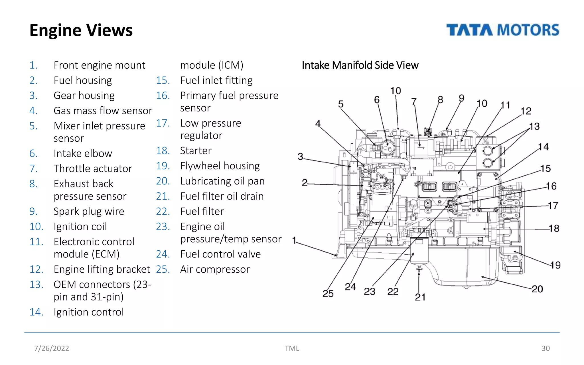 Engine Views
1. Front engine mount
2. Fuel housing
3. Gear housing
4. Gas mass flow sensor
5. Mixer inlet pressure
sensor
6. Intake elbow
7. Throttle actuator
8. Exhaust back
pressure sensor
9. Spark plug wire
10. Ignition coil
11. Electronic control
module (ECM)
12. Engine lifting bracket
13. OEM connectors (23-
pin and 31-pin)
14. Ignition control
module (ICM)
15. Fuel inlet fitting
16. Primary fuel pressure
sensor
17. Low pressure
regulator
18. Starter
19. Flywheel housing
20. Lubricating oil pan
21. Fuel filter oil drain
22. Fuel filter
23. Engine oil
pressure/temp sensor
24. Fuel control valve
25. Air compressor
Intake Manifold Side View
7/26/2022 TML 30
 