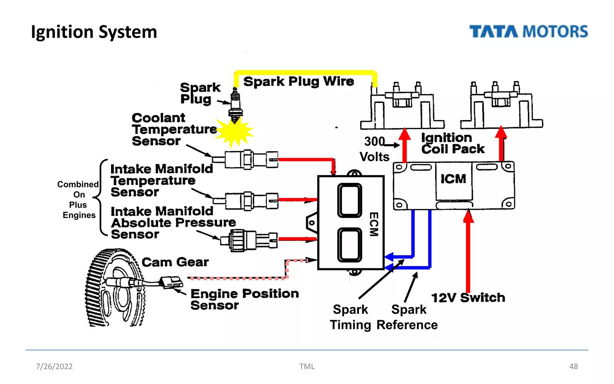 Ignition System
7/26/2022 TML 48
ECM
Combined
On
Plus
Engines
Spark
Reference
Spark
Timing
300
Volts
 