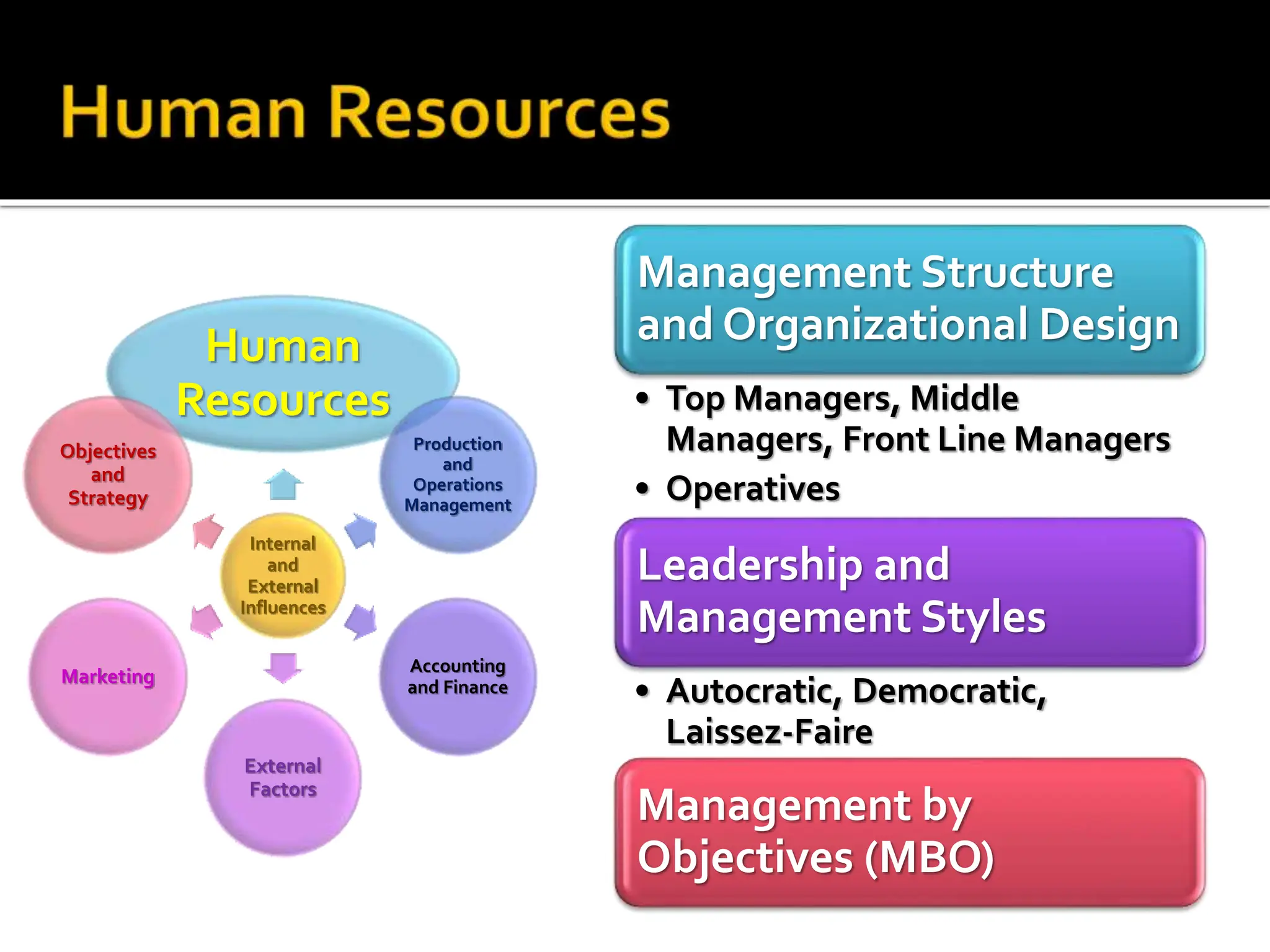 Internal
and
External
Influences
Human
Resources
Production
and
Operations
Management
Accounting
and Finance
External
Factors
Marketing
Objectives
and
Strategy
Management Structure
and Organizational Design
• Top Managers, Middle
Managers, Front Line Managers
• Operatives
Leadership and
Management Styles
• Autocratic, Democratic,
Laissez-Faire
Management by
Objectives (MBO)
 