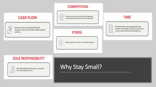 Why Stay Small?
 