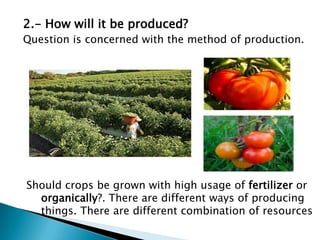 2.- How will it be produced?
Question is concerned with the method of production.




Should crops be grown with high usage of fertilizer or
  organically?. There are different ways of producing
  things. There are different combination of resources
 