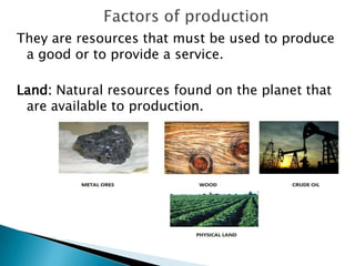 They are resources that must be used to produce
 a good or to provide a service.

Land: Natural resources found on the planet that
 are available to production.
 