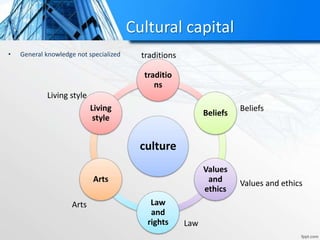 Cultural capital
• General knowledge not specialized
culture
traditio
ns
Beliefs
Values
and
ethics
Law
and
rights
Arts
Living
style
traditions
Beliefs
Values and ethics
Law
Arts
Living style
 