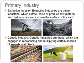Primary Industry
 Extractive Industry: Extractive industries are those
industries, which extract, raise or produce raw material
from below or above or above the surface of the earth.
 Genetic Industry: Genetic industries are those, which are
engaged in reproducing and multiplying certain species
of animals and plants.
 