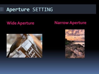Aperture SETTING
Wide Aperture Narrow Aperture
 