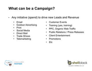 What can be a Campaign?
• 

Any initiative (spend) to drive new Leads and Revenue
• 
• 
• 
• 
• 
• 
• 

Email
Outdoor Advertising
Print
Social Media
Direct Mail
Trade Shows
Telemarketing

• 
• 
• 
• 
• 
• 
• 

Customer Events
Training (yes, training)
PPC, Organic Web Traffic
Public Relations / Press Releases
Client Entertainment
Promotions
Etc

Copyright © ShellBlack.com, LLC

 