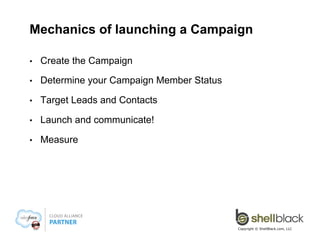Mechanics of launching a Campaign
• 

Create the Campaign

• 

Determine your Campaign Member Status

• 

Target Leads and Contacts

• 

Launch and communicate!

• 

Measure

Copyright © ShellBlack.com, LLC

 