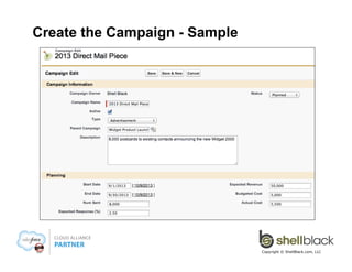 Create the Campaign - Sample

Copyright © ShellBlack.com, LLC

 