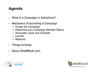 Agenda
• 

What is a Campaign in Salesforce?

• 

Mechanics of launching a Campaign
§ 
§ 
§ 
§ 
§ 

Create the Campaign
Determine your Campaign Member Status
Associate Leads and Contacts
Launch & Associate Opportunities
Measure

• 

Things to know

• 

About ShellBlack.com

Copyright © ShellBlack.com, LLC

 
