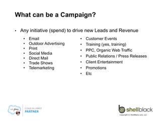 What can be a Campaign?
• 

Any initiative (spend) to drive new Leads and Revenue
• 
• 
• 
• 
• 
• 
• 

Email
Outdoor Adve...