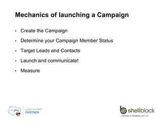 Mechanics of launching a Campaign
• 

Create the Campaign

• 

Determine your Campaign Member Status

• 

Target Leads and...