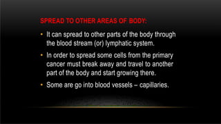 SPREAD TO OTHER AREAS OF BODY:
• It can spread to other parts of the body through
the blood stream (or) lymphatic system.
• In order to spread some cells from the primary
cancer must break away and travel to another
part of the body and start growing there.
• Some are go into blood vessels – capillaries.
 