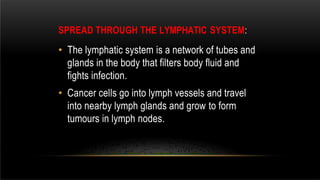 SPREAD THROUGH THE LYMPHATIC SYSTEM:
• The lymphatic system is a network of tubes and
glands in the body that filters body fluid and
fights infection.
• Cancer cells go into lymph vessels and travel
into nearby lymph glands and grow to form
tumours in lymph nodes.
 