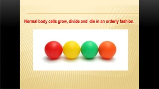 Normal body cells grow, divide and die in an orderly fashion.
 