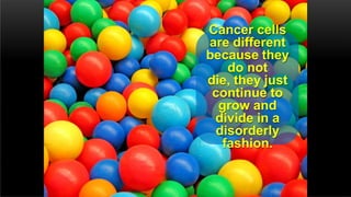 Cancer cells
are different
because they
do not
die, they just
continue to
grow and
divide in a
disorderly
fashion.
 