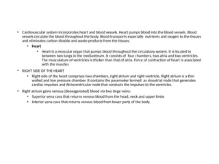 • Cardiovascular system incorporates heart and blood vessels. Heart pumps blood into the blood vessels. Blood
vessels circulate the blood throughout the body. Blood transports especially nutrients and oxygen to the tissues
and eliminates carbon dioxide and waste products from the tissues.
• Heart
• Heart is a muscular organ that pumps blood throughout the circulatory system. It is located in
between two lungs in the mediastinum. It consists of four chambers, two atria and two ventricles.
The musculature of ventricles is thicker than that of atria. Force of contraction of heart is associated
with the muscles
• RIGHT SIDE OF THE HEART
• Right side of the heart comprises two chambers, right atrium and right ventricle. Right atrium is a thin
walled and low pressure chamber. It contains the pacemaker termed as sinoatrial node that generates
cardiac impulses and Atrioventricular node that conducts the impulses to the ventricles.
• Right atrium gains venous (deoxygenated) blood via two large veins:
• Superior vena cava that returns venous blood from the head, neck and upper limbs
• Inferior vena cava that returns venous blood from lower parts of the body.
 
