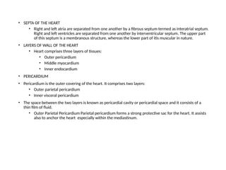 • SEPTA OF THE HEART
• Right and left atria are separated from one another by a fibrous septum termed as interatrial septum.
Right and left ventricles are separated from one another by interventricular septum. The upper part
of this septum is a membranous structure, whereas the lower part of itis muscular in nature.
• LAYERS OF WALL OF THE HEART
• Heart comprises three layers of tissues:
• Outer pericardium
• Middle myocardium
• Inner endocardium
• PERICARDIUM
• Pericardium is the outer covering of the heart. It comprises two layers:
• Outer parietal pericardium
• Inner visceral pericardium
• The space between the two layers is known as pericardial cavity or pericardial space and it consists of a
thin film of fluid.
• Outer Parietal Pericardium Parietal pericardium forms a strong protective sac for the heart. It assists
also to anchor the heart especially within the mediastinum.
 