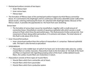 • Parietal pericardium consists of two layers:
• Outer fibrous layer
• Inner serous layer.
• Fibrous layer
• The formation of ffibrous layer of the parietal pericardium happens by thick fibrous connective
tissue. It is connected to the diaphragm and it is continuous with tunica adventitia (outer wall) of the
blood vessels, entering and leaving the heart. It is attached with diaphragm below. Because of the
fibrous nature, it provides the p[protection to the heart from over stretching.
Serous layer
• The formation of serous layer occurs by mesothelium, together with a small amount of
connective tissue. Mesothelium consists of squamous epithelial cells which secrete a small
amount of fluid, which lines the pericardial space. This fluid prevents friction and permits free
movement of heart along within pericardium, if it contracts and relaxes. The total volume of
this fluid is only about 25 to 35 mL.
• Inner Visceral Pericardium
• Inner visceral pericardium lines the surface of myocardium. It comprises flattened epithelial
cells. This layer is also termed as epicardium
• MYOCARDIUM
• Myocardium is the middle layer of wall of t he heart and its formation takes place by cardiac
muscle fibers or cardiac myocytes. Myocardium leads to the formation of the bulk of the heart
and Plays an important role regarding pumping action of the heart. Unlike skeletal muscle
fibers, the cardiac muscle fibers are involuntary in nature.
• Myocardium consists of three types of muscle fibers:
• Muscle fibers which form contractile unit of Heart.
• Muscle fibers which form pacemaker
• Muscle fibers which form conductive system
 