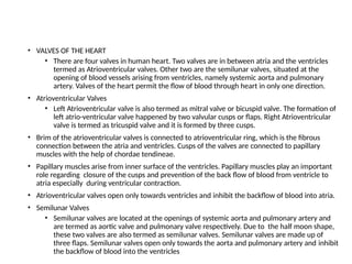 • VALVES OF THE HEART
• There are four valves in human heart. Two valves are in between atria and the ventricles
termed as Atrioventricular valves. Other two are the semilunar valves, situated at the
opening of blood vessels arising from ventricles, namely systemic aorta and pulmonary
artery. Valves of the heart permit the flow of blood through heart in only one direction.
• Atrioventricular Valves
• Left Atrioventricular valve is also termed as mitral valve or bicuspid valve. The formation of
left atrio-ventricular valve happened by two valvular cusps or flaps. Right Atrioventricular
valve is termed as tricuspid valve and it is formed by three cusps.
• Brim of the atrioventricular valves is connected to atrioventricular ring, which is the fibrous
connection between the atria and ventricles. Cusps of the valves are connected to papillary
muscles with the help of chordae tendineae.
• Papillary muscles arise from inner surface of the ventricles. Papillary muscles play an important
role regarding closure of the cusps and prevention of the back flow of blood from ventricle to
atria especially during ventricular contraction.
• Atrioventricular valves open only towards ventricles and inhibit the backflow of blood into atria.
• Semilunar Valves
• Semilunar valves are located at the openings of systemic aorta and pulmonary artery and
are termed as aortic valve and pulmonary valve respectively. Due to the half moon shape,
these two valves are also termed as semilunar valves. Semilunar valves are made up of
three flaps. Semilunar valves open only towards the aorta and pulmonary artery and inhibit
the backflow of blood into the ventricles
 