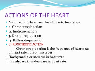 ACTIONS OF THE HEART
 Actions of the heart are classified into four types:
 1. Chronotropic action
 2. Inotropic action
 3. Dromotropic action
 4. Bathmotropic action
 CHRONOTROPIC ACTION
Chronotropic action is the frequency of heartbeat
or heart rate. It is of two types:
i. Tachycardia or increase in heart rate
ii. Bradycardia or decrease in heart rate
 