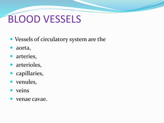 BLOOD VESSELS
 Vessels of circulatory system are the
 aorta,
 arteries,
 arterioles,
 capillaries,
 venules,
 veins
 venae cavae.
 