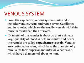 VENOUS SYSTEM
 From the capillaries, venous system starts and it
includes venules, veins and venae cavae. Capillaries
end in venules, which are the smaller vessels with thin
muscular wall than the arterioles.
 Diameter of the venules is about 20 µ. At a time, a
large quantity of blood is held in venules and hence
the venules are called capacitance vessels. Venules
are continued as veins, which have the diameter of 5
mm. Veins form superior and inferior venae cavae,
which have a diameter of about 30 mm.
 