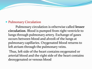  Pulmonary Circulation
Pulmonary circulation is otherwise called lesser
circulation. Blood is pumped from right ventricle to
lungs through pulmonary artery. Exchange of gases
occurs between blood and alveoli of the lungs at
pulmonary capillaries. Oxygenated blood returns to
left atrium through the pulmonary veins.
Thus, left side of the heart contains oxygenated or
arterial blood and the right side of the heart contains
deoxygenated or venous blood
 