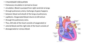 INTRODUCTION TO CARDIOVASCULAR SYSTEM.pptx