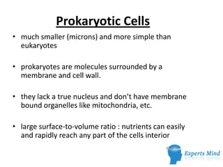 Prokaryotic Cells
• much smaller (microns) and more simple than
  eukaryotes

• prokaryotes are molecules surrounded by a
  membrane and cell wall.

• they lack a true nucleus and don’t have membrane
  bound organelles like mitochondria, etc.

• large surface-to-volume ratio : nutrients can easily
  and rapidly reach any part of the cells interior
 