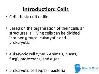 Introduction: Cells
• Cell – basic unit of life

• Based on the organization of their cellular
  structures, all living cells can be divided
  into two groups: eukaryotic and
  prokaryotic

• eukaryotic cell types - Animals, plants,
  fungi, protozoans, and algae

• prokaryotic cell types - bacteria
 