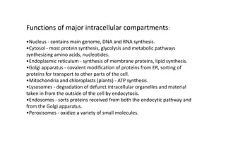 Functions of major intracellular compartments:
•Nucleus - contains main genome, DNA and RNA synthesis.
•Cytosol - most protein synthesis, glycolysis and metabolic pathways
synthesizing amino acids, nucleotides.
•Endoplasmic reticulum - synthesis of membrane proteins, lipid synthesis.
•Golgi apparatus - covalent modification of proteins from ER, sorting of
proteins for transport to other parts of the cell.
•Mitochondria and chloroplasts (plants) - ATP synthesis.•Mitochondria and chloroplasts (plants) - ATP synthesis.
•Lysosomes - degradation of defunct intracellular organelles and material
taken in from the outside of the cell by endocytosis.
•Endosomes - sorts proteins received from both the endocytic pathway and
from the Golgi apparatus.
•Peroxisomes - oxidize a variety of small molecules.
 