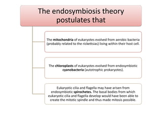 The endosymbiosis theory
postulates that
The mitochondria of eukaryotes evolved from aerobic bacteria
(probably related to the rickettsias) living within their host cell.
The chloroplasts of eukaryotes evolved from endosymbiotic
cyanobacteria (autotrophic prokaryotes).
Eukaryotic cilia and flagella may have arisen from
endosymbiotic spirochetes. The basal bodies from which
eukaryotic cilia and flagella develop would have been able to
create the mitotic spindle and thus made mitosis possible.
 