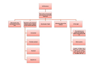 Cell Structure:
Most cells are microscopic
and cannot be seen by the
naked eye.
Microscopes were
developed to visualize
cells.
Resolution is the minimum
distance where 2 objects
can be visually separated
-Unresolved
Wavelength of light
Refractive index of the
medium
Of the light
-The naked eye can
resolve two separate
objects separated by 200
-Unresolved
-Partially resolved
-Resolved
-Depends on:
objects separated by 200
um
Metric system:
-1 meter = 3.3 feet, 1 km =
103 m, 1cm = 10-2 m, 1mm
= 10-3 m, 1um = 10-6 m,
1nm = 10-9 m, 1 A = 10-10
m, 1pm = 10-12 m
 