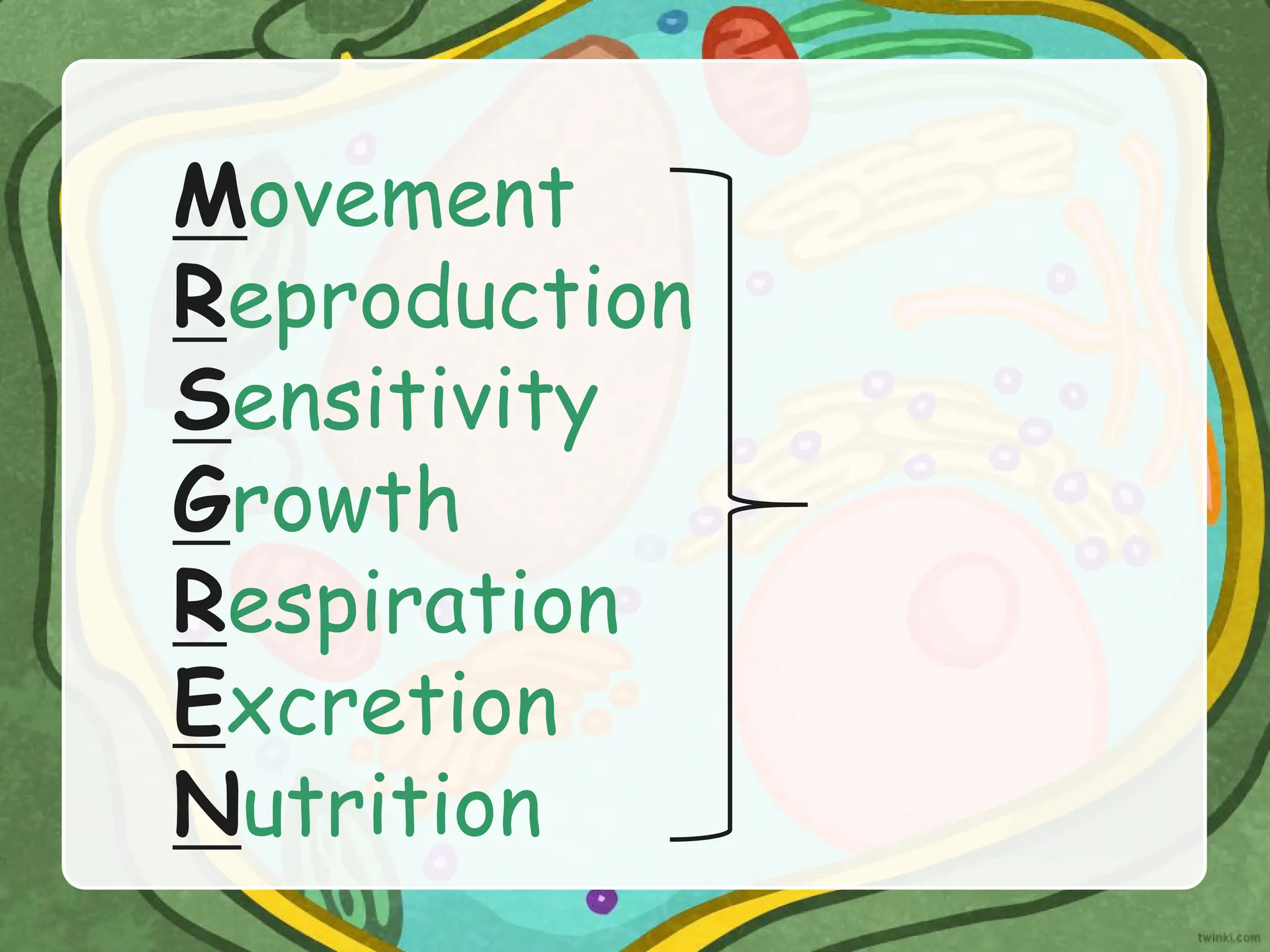 Movement
Reproduction
Sensitivity
Growth
Respiration
Excretion
Nutrition
 