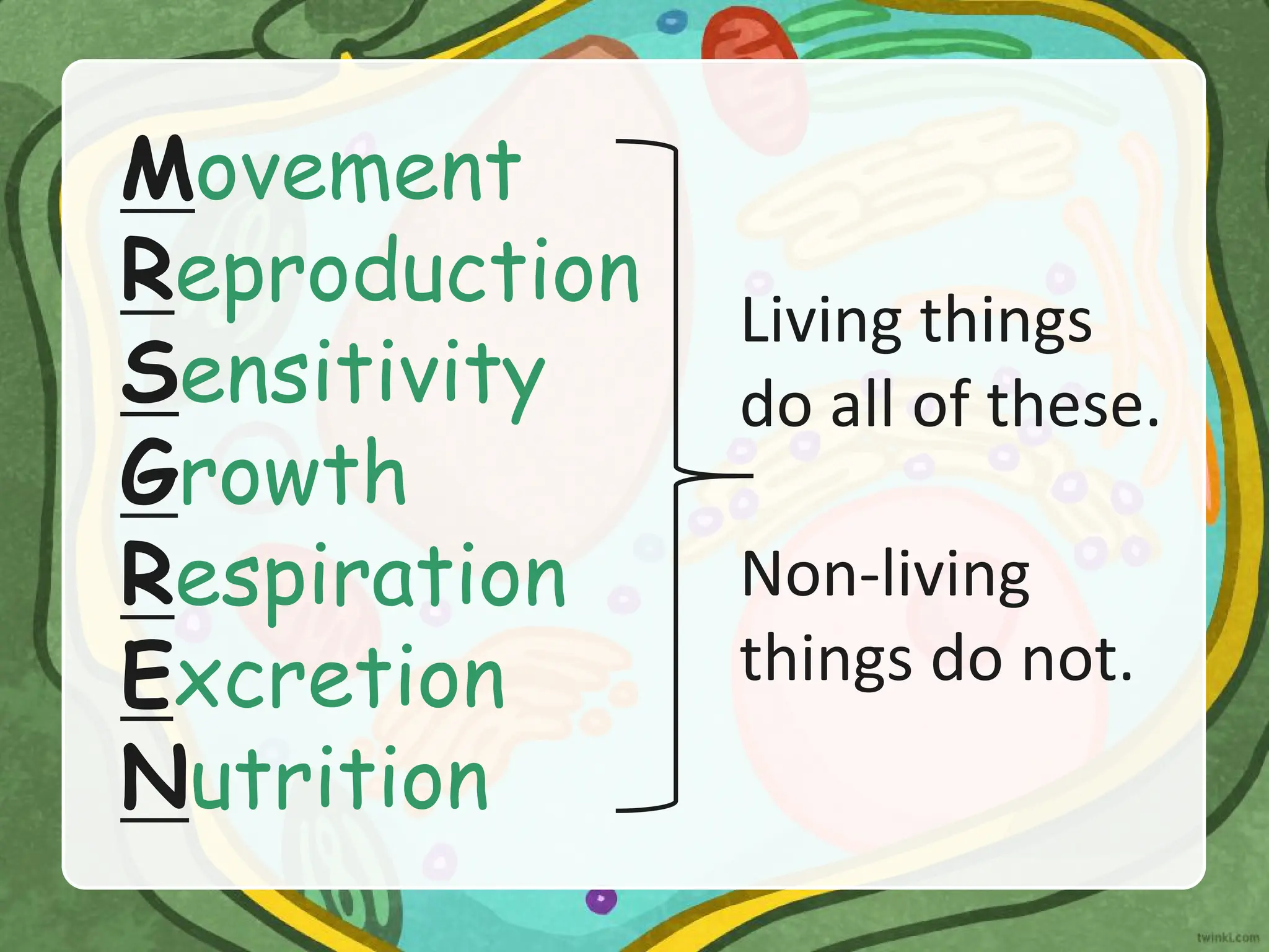 Living things
do all of these.
Non-living
things do not.
Movement
Reproduction
Sensitivity
Growth
Respiration
Excretion
Nutrition
 