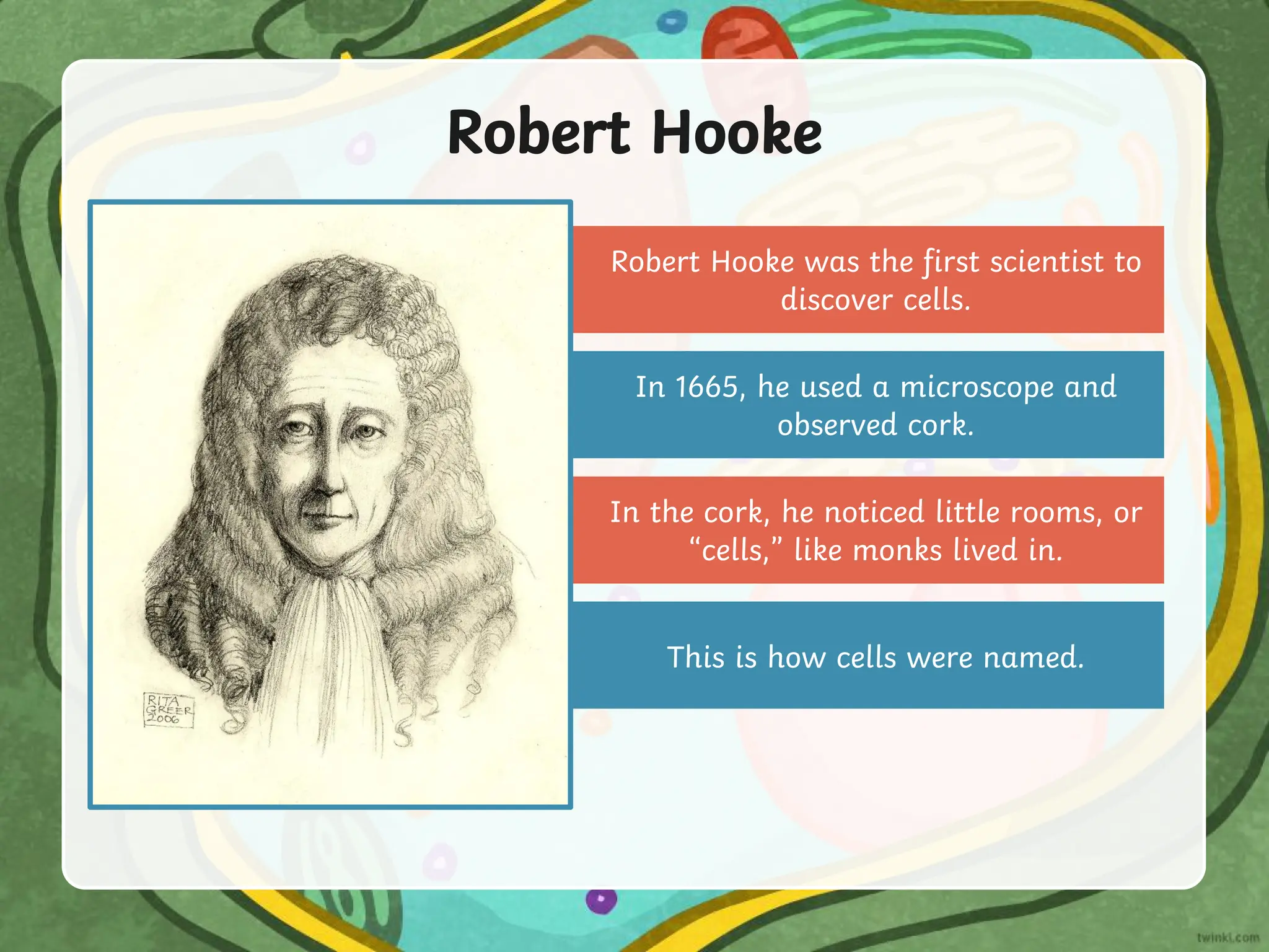 Robert Hooke was the first scientist to
discover cells.
Robert Hooke
In 1665, he used a microscope and
observed cork.
In the cork, he noticed little rooms, or
“cells,” like monks lived in.
This is how cells were named.
 
