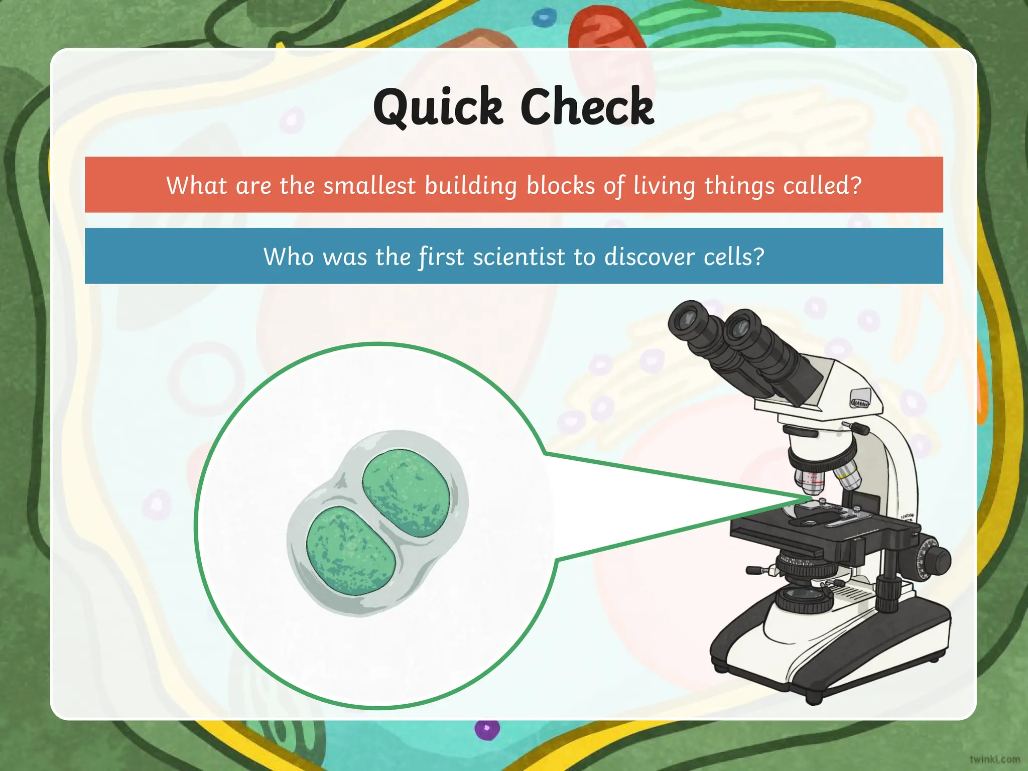 Quick Check
What are the smallest building blocks of living things called?
Who was the first scientist to discover cells?
 