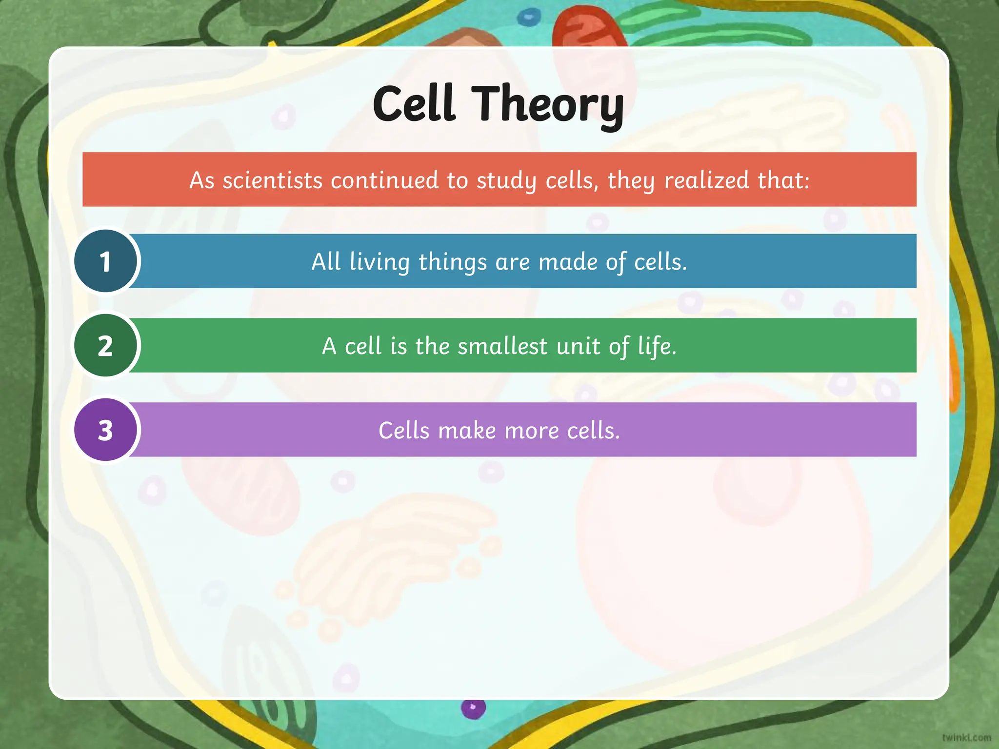 Cell Theory
As scientists continued to study cells, they realized that:
All living things are made of cells.
1
A cell is the smallest unit of life.
2
Cells make more cells.
3
 