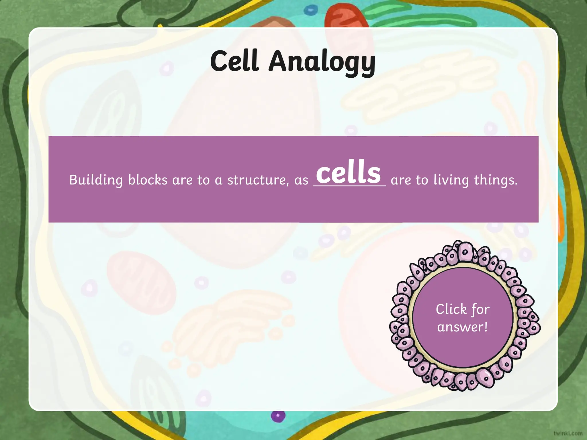 Cell Analogy
Building blocks are to a structure, as are to living things.
cells
Click for
answer!
 