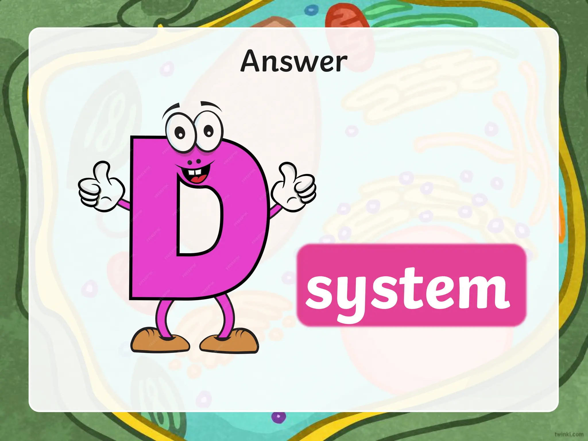 Answer
system
 