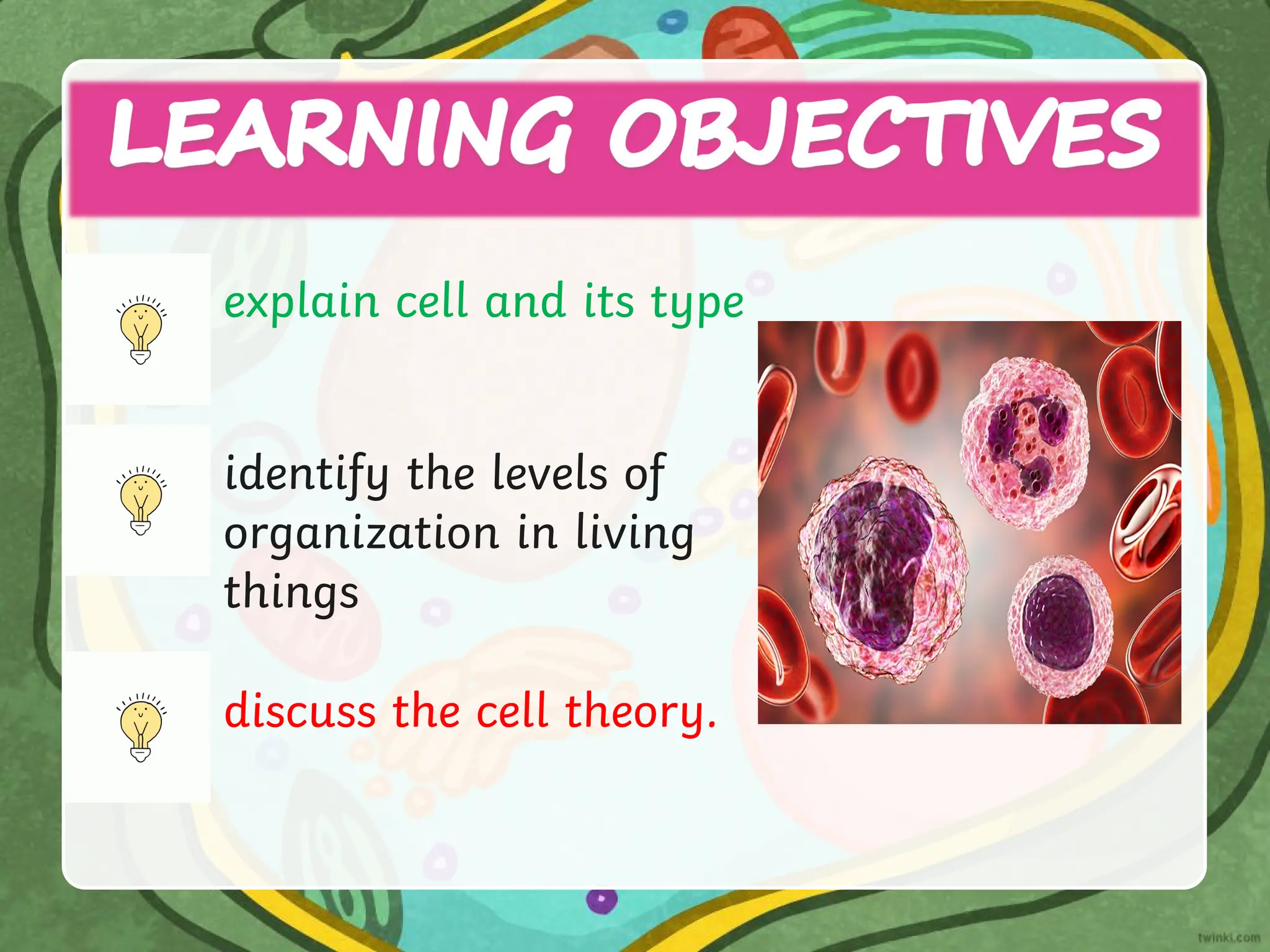 explain cell and its type
identify the levels of
organization in living
things
discuss the cell theory.
 