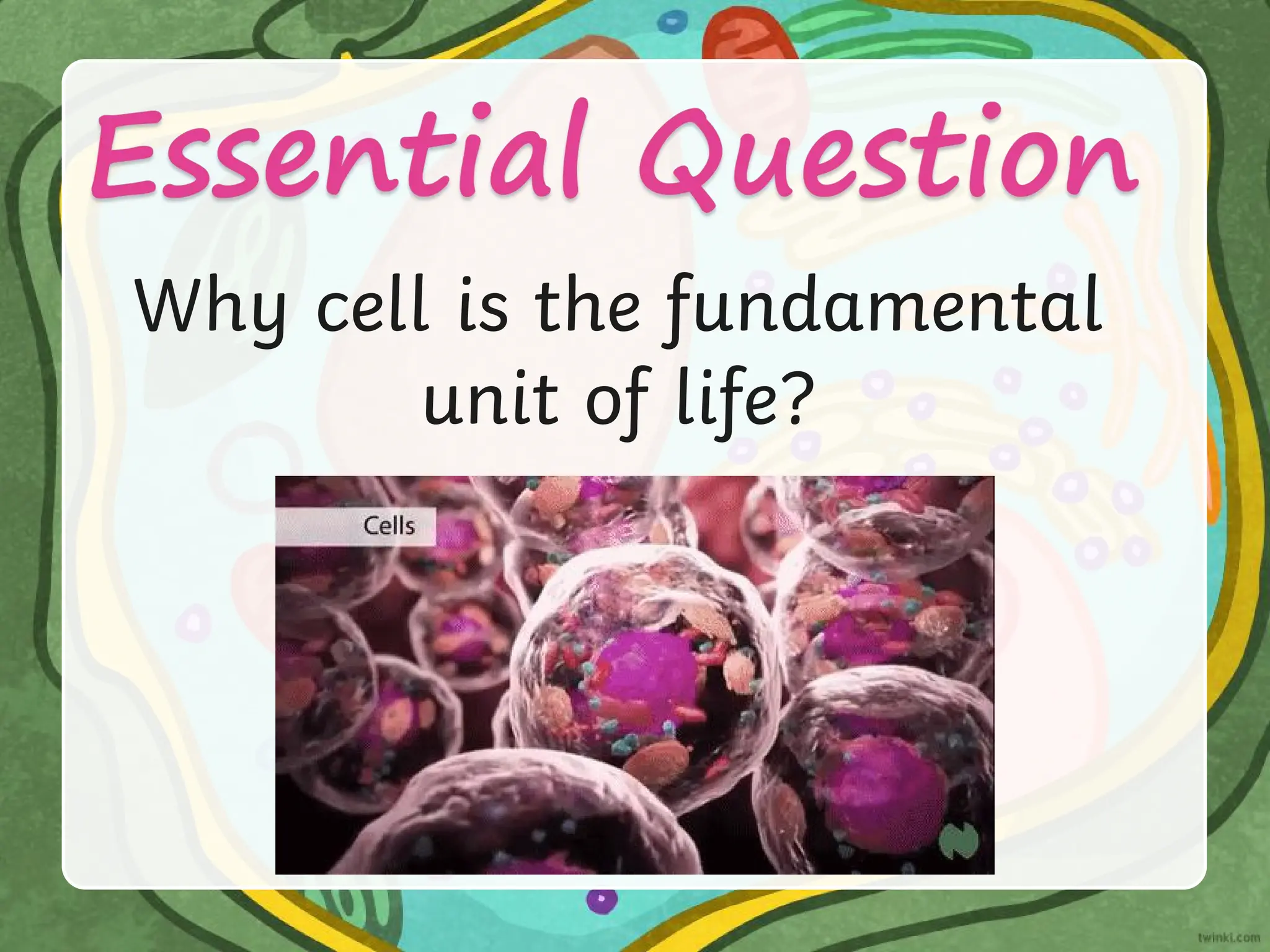 Why cell is the fundamental
unit of life?
 