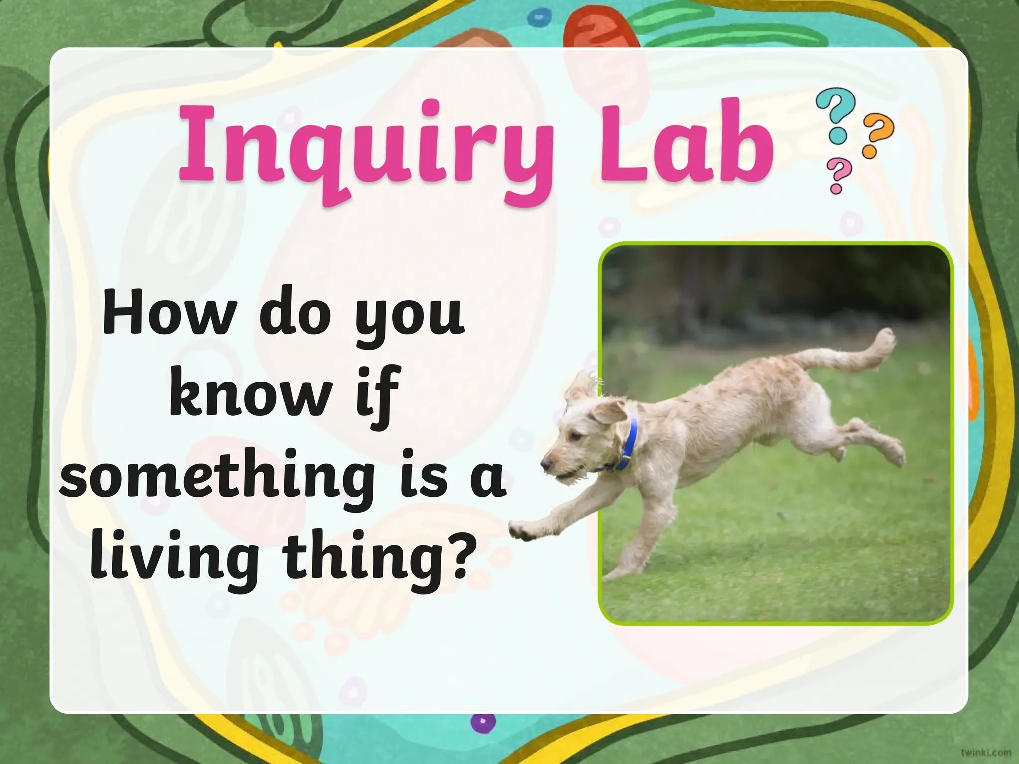 How do you
know if
something is a
living thing?
 
