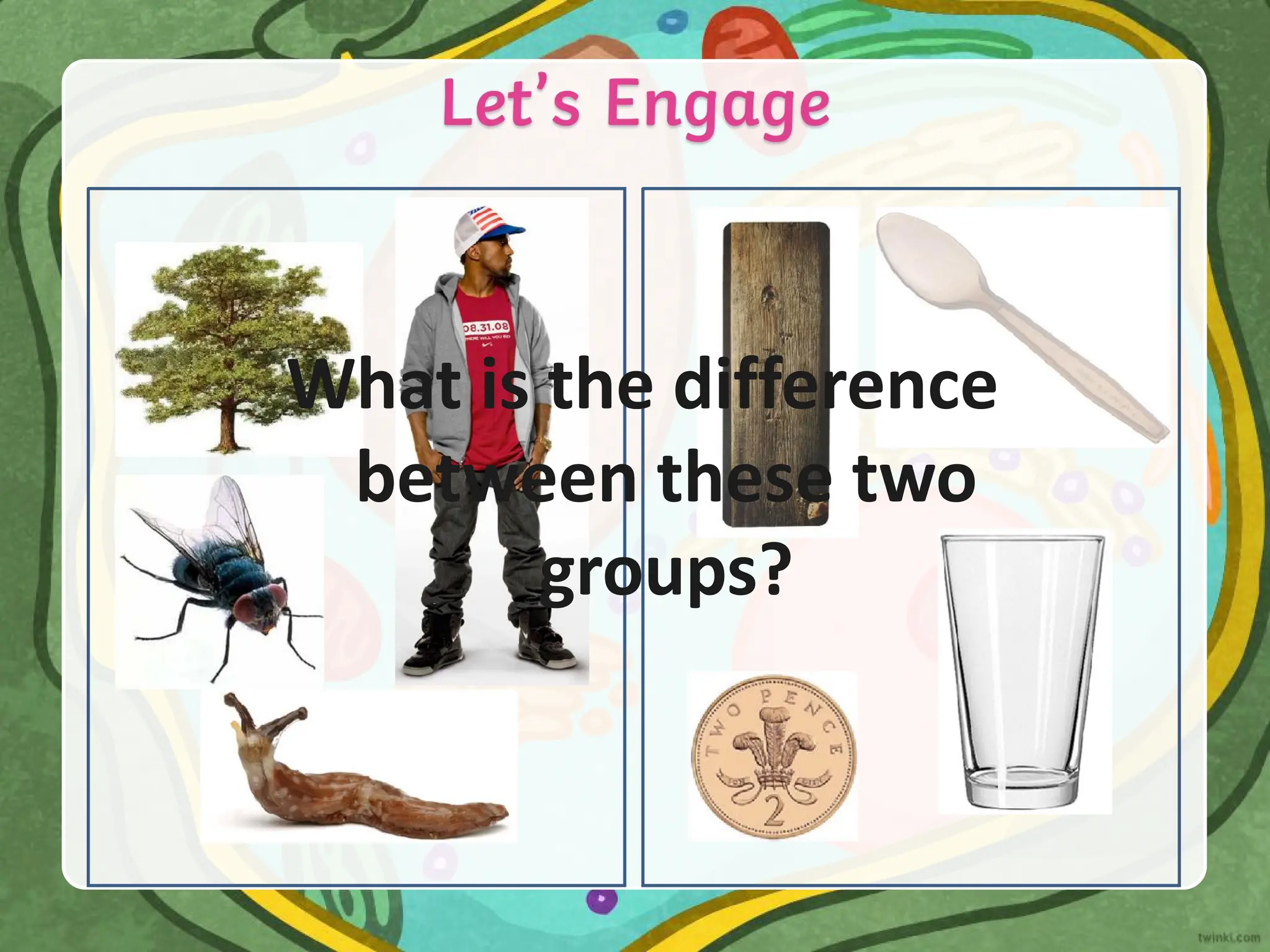 What is the difference
between these two
groups?
 