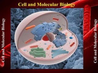 Cell and Molecular BiologyCellandMolecularBiology
CellandMolecularBiology
 