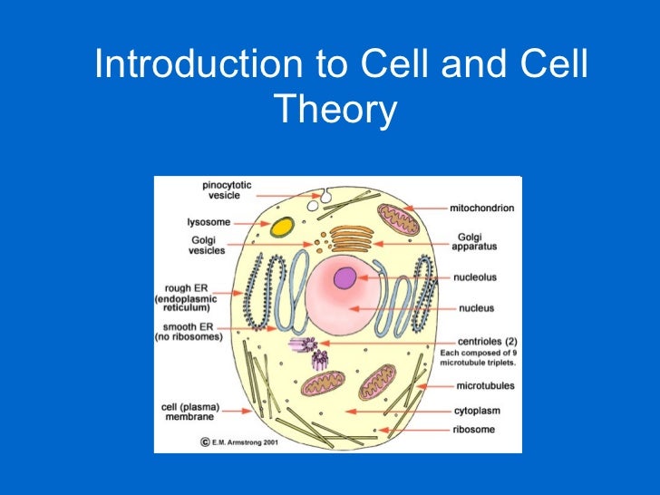 cell theory timeline
