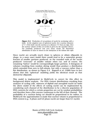 Figure 2.4. Production of cut portions of nuclei by sectioning with a 
knife. In the simplest case of spherical nuclei, for a nuclear diameter 
of “r”, if the knife cuts the nucleus at a distance “h” from an edge, then 
the nuclear volume of this cut section is given by the equation shown. 
For randomly produced cuts over many nuclei, the theoretical 
distribution of sizes is shown in the histogram at the bottom (the right 
Since nuclei are actually much closer to spheres or oblate ellipsoids in 
shape, in a more exact model there would tend to be a somewhat greater 
fraction of smaller portions produced, as the rounded ends of the nuclei 
produced “crescents” of smaller volume when cut, and of course, the 
remaining “halves” would be correspondingly larger portions. A histogram of 
volumes resulting from random slicing would thus produce a distribution 
which extended from zero to full-volume, but with a concave rather than a 
flat distribution, as shown in Figure 2.4. Bagwell et al. (1990) have in fact 
shown that this “spherical” modeling yields the identical result as that 
derived for ellipsoids. 
This model is implemented in MultiCycle to correct for this effect in 
background debris analysis. For DNA content distributions resulting from 
analyses of cycling cells, mixtures of diploid and aneuploid nuclei (or both) 
the above model of the effects of cutting nuclei can be implemented by 
considering each channel of the distribution to be a discrete population of 
DNA contents for which a certain proportion are cut by random probabilities 
and therefore form a flat-concave continuum to the left of that channel. The 
probability of a nucleus being cut should be proportional to its radius; in 
MultiCycle the approximation is made that nuclear volume is proportional to 
DNA content (e.g., S phase and G2 phase nuclei are larger than G1 nuclei). 
Basics of DNA Cell Cycle Analysis 
www.phoenixflow.com 
Page 13 
 